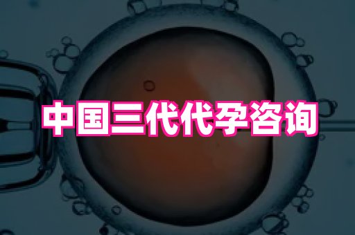 权威助孕网 1