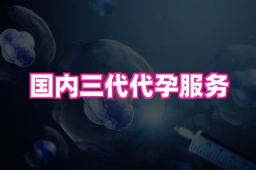 权威助孕网 2