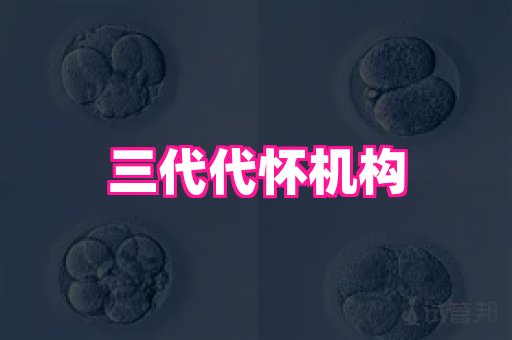 权威助孕网 3